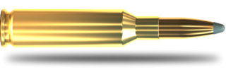 Náboje SB 6,5 CREEDMOOR SP